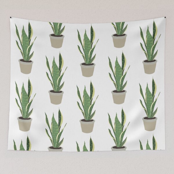 Item preview, Snake plant  designed and sold by mihidunii.