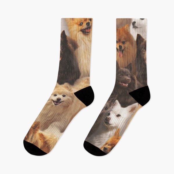 Item preview, Spitz designed and sold by MaxencePierrard.