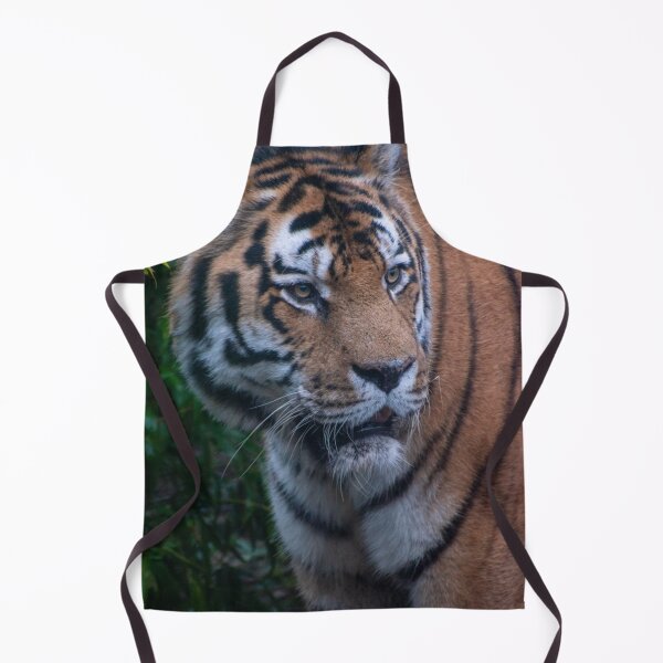 Item preview, Male Amur tiger designed and sold by cdkphotos.