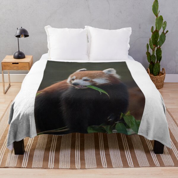 Item preview, Adorable eating red panda designed and sold by cdkphotos.