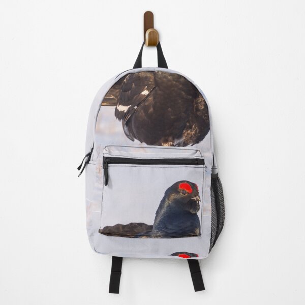 Item preview, Black grouse in the morning light designed and sold by Ingo Gerlach.