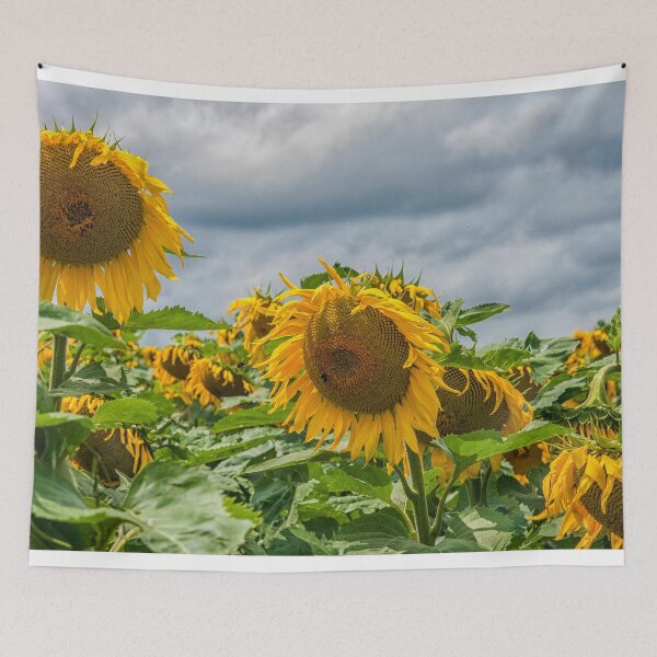 Item preview, Dark sky with sunflowers designed and sold by Photopat.