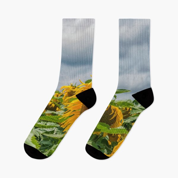 Item preview, Dark sky with sunflowers designed and sold by Photopat.