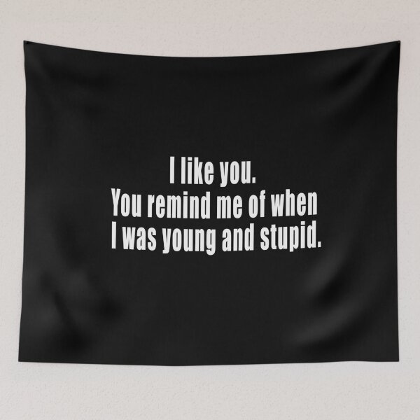 Item preview, I like you. You remind me of when I was young and stupid. designed and sold by HoneyBadgerBox.