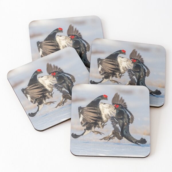 Item preview, Fighting black grouse designed and sold by Ingo Gerlach.