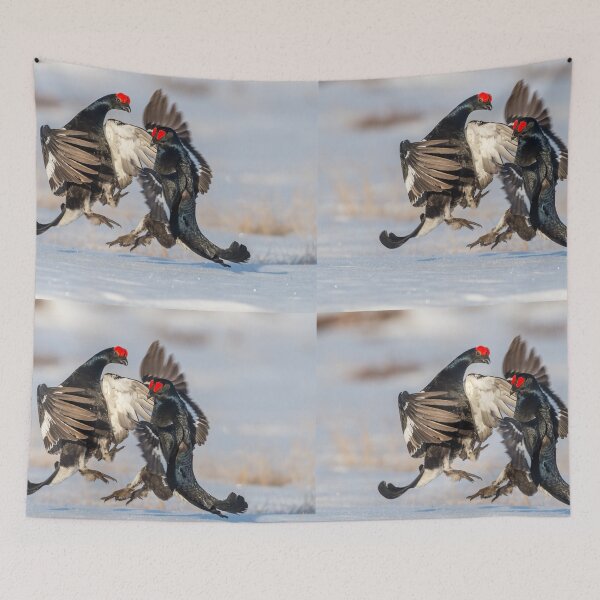 Item preview, Fighting black grouse designed and sold by Ingo Gerlach.