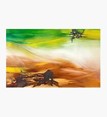 Pasture Photographic Print