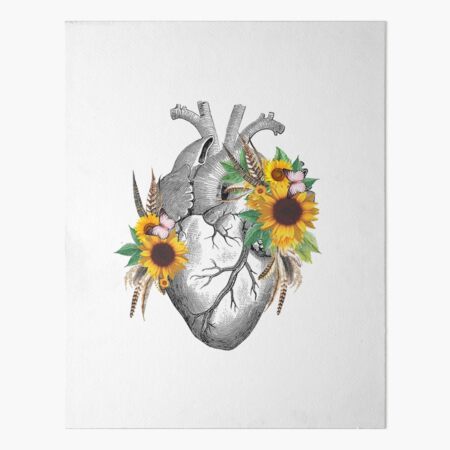 Floral sunflowers Heart Human Anatomy Art Board Print for Sale by