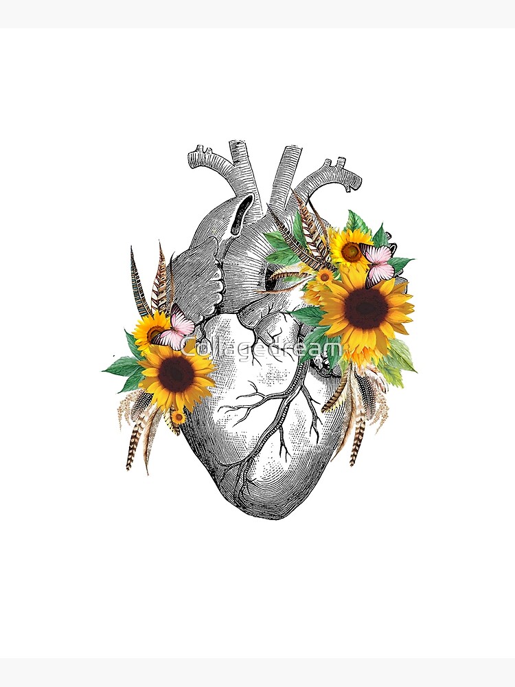 Floral Sunflowers Heart Human Anatomy Poster For Sale By Collagedream Redbubble 6171