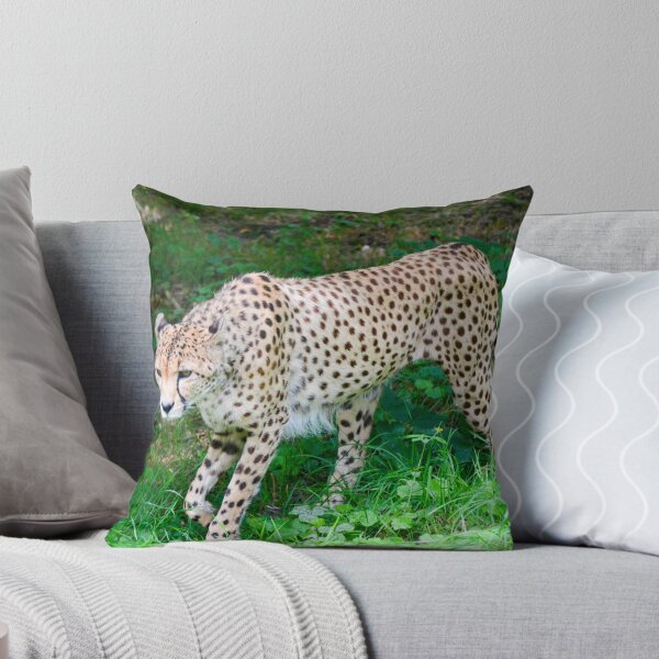 Item preview, Wandering Cheetah designed and sold by Ksswaden.