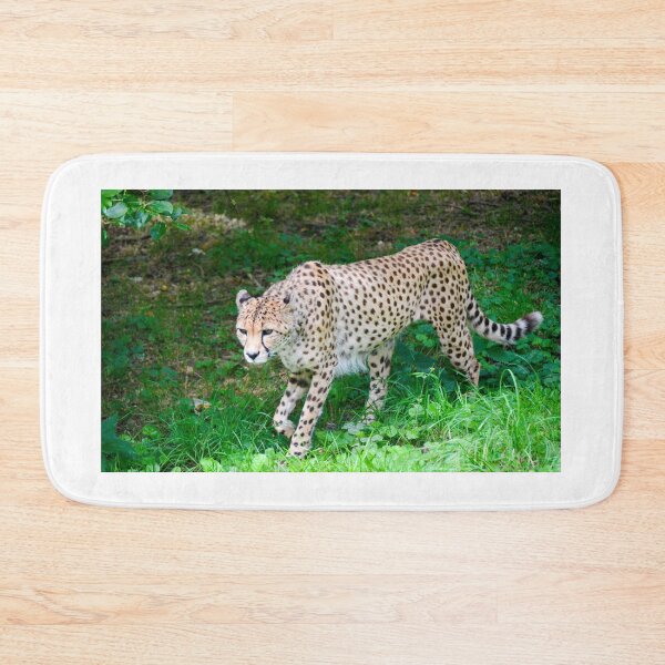Item preview, Wandering Cheetah designed and sold by Ksswaden.