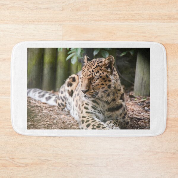 Item preview, Amur Leopard designed and sold by Ksswaden.