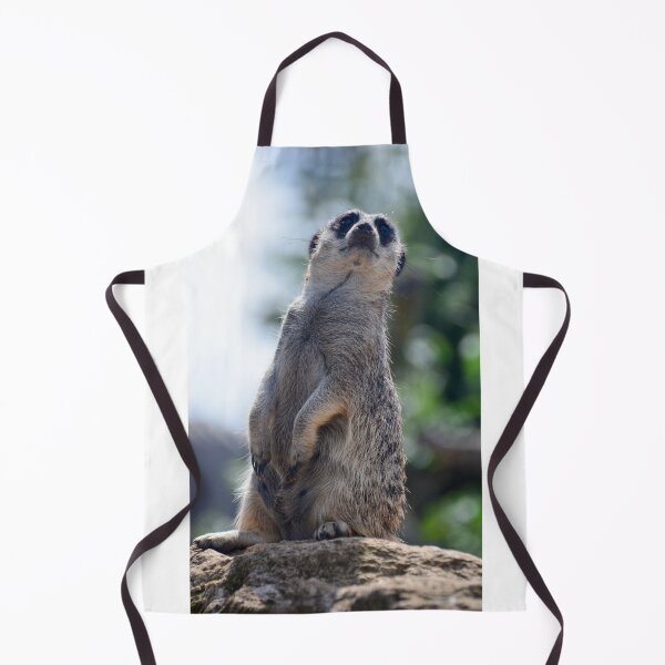Item preview, Meerkat on Lookout designed and sold by Ksswaden.