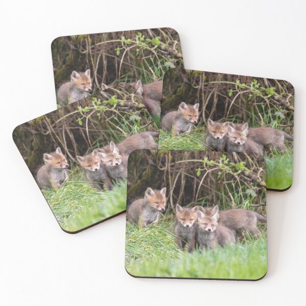Item preview, Young foxes in front of the burrow designed and sold by Ingo Gerlach.