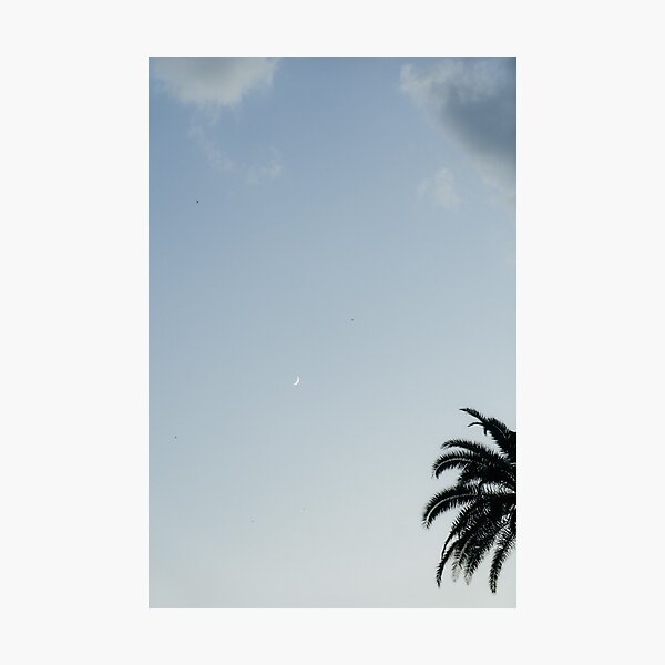 Item preview, Blue Sky, Eclipse, Clouds and a Palm designed and sold by Noah Neumair.