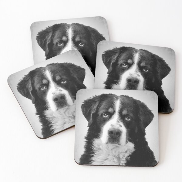 Item preview, Bernese Mountain dog - BW Vintage - D4 designed and sold by DecoVintage.