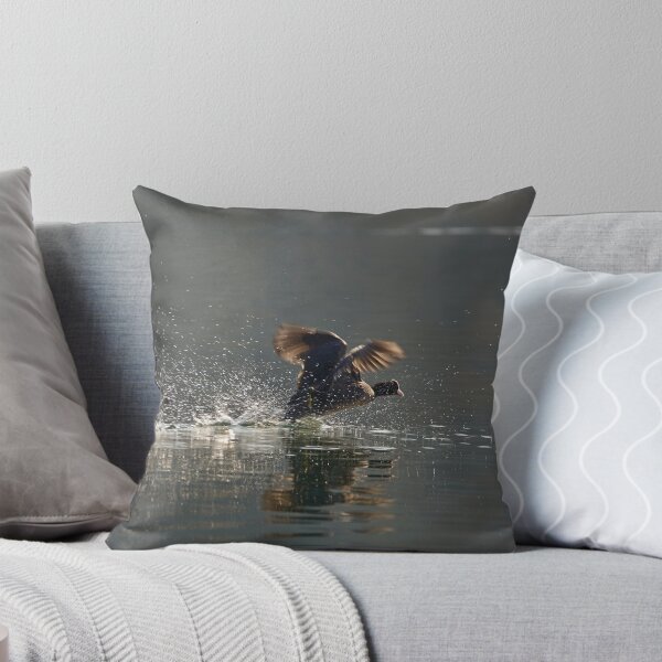 Aperçu de l'œuvre Coot in a hurry créée et vendue par Mark Bangert.