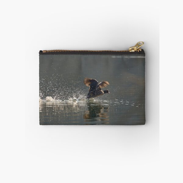 Aperçu de l'œuvre Coot in a hurry créée et vendue par Mark Bangert.