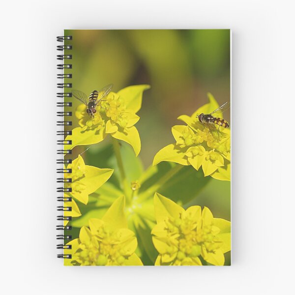 Item preview, Hover Flies designed and sold by Paul Chubb.