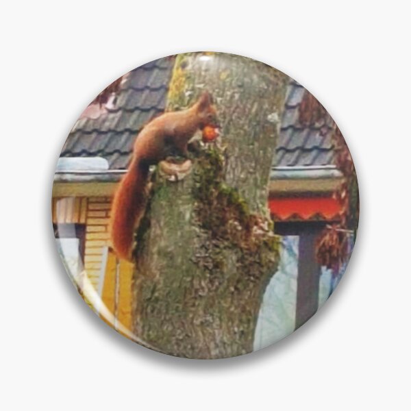 Item preview, squirrel on a tree designed and sold by OMdesigns93.