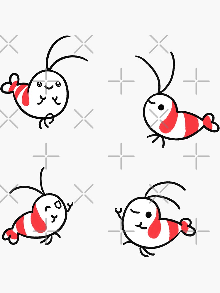 Shy Shrimp pattern by pikaole