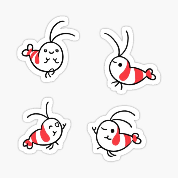 Shy Shrimp pattern Sticker