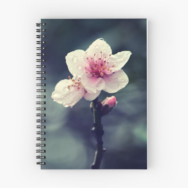 Item preview, Flower Plum Blossoms photography designed and sold by EMEICEA.