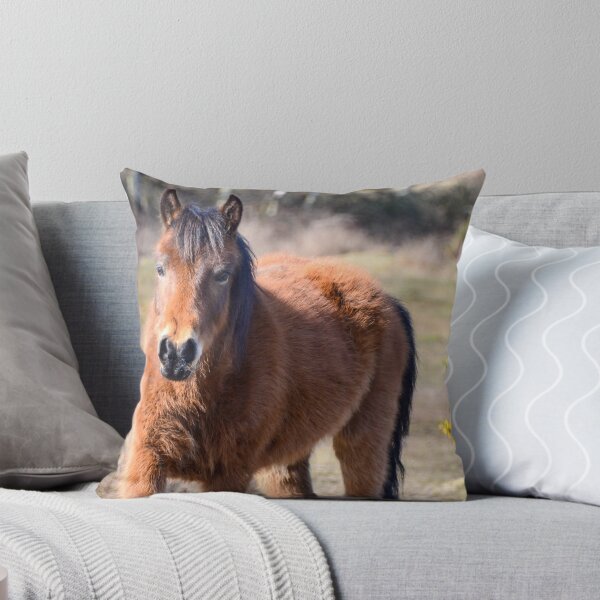 Item preview, Bay Pony New Forest designed and sold by Ksswaden.