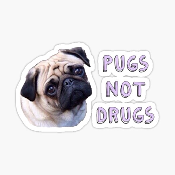 Pugs, no drogas Pegatina