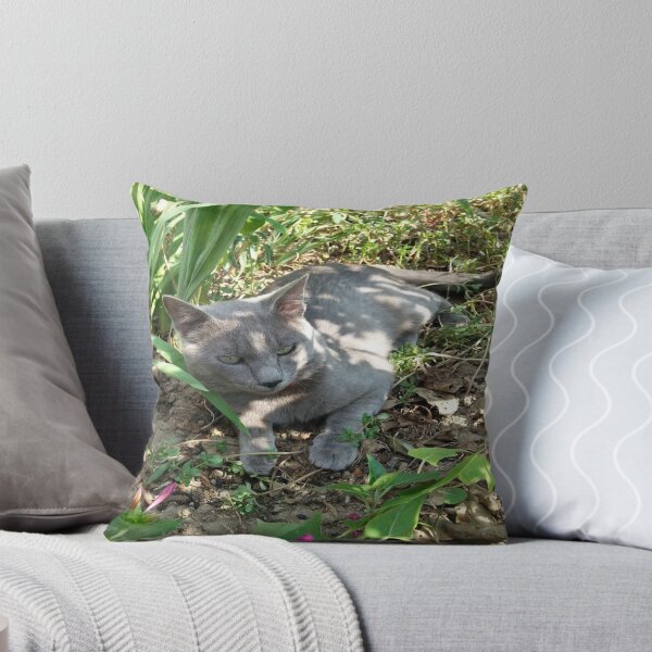 Item preview, A cute kitten between plants designed and sold by SoniasCreations.