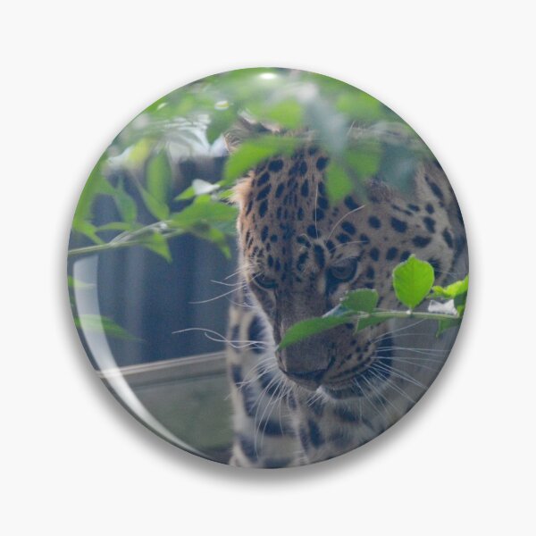 Item preview, Amur Leopard in the Trees designed and sold by Ksswaden.