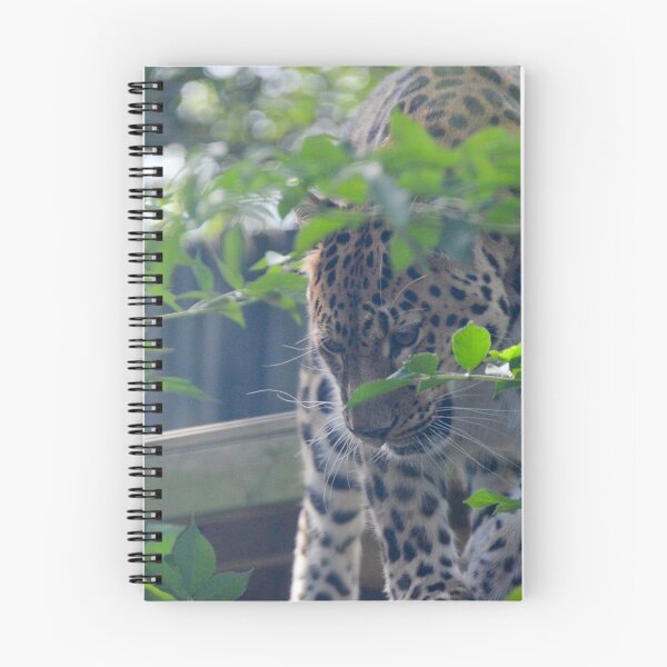 Item preview, Amur Leopard in the Trees designed and sold by Ksswaden.
