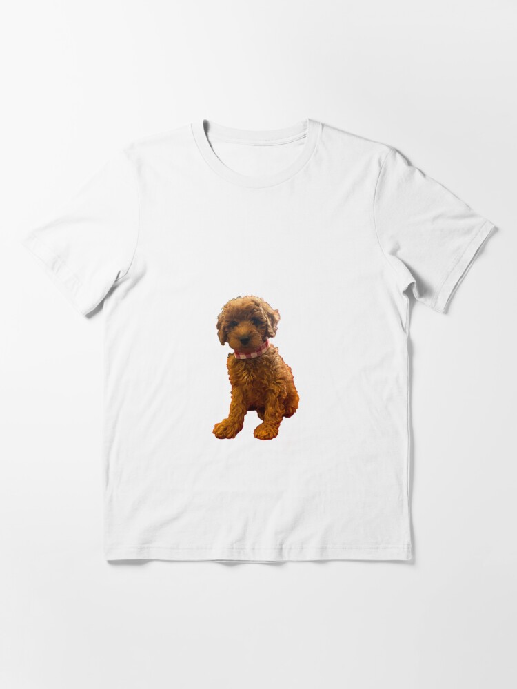 Doodle Dog Chicago Flag T-Shirt