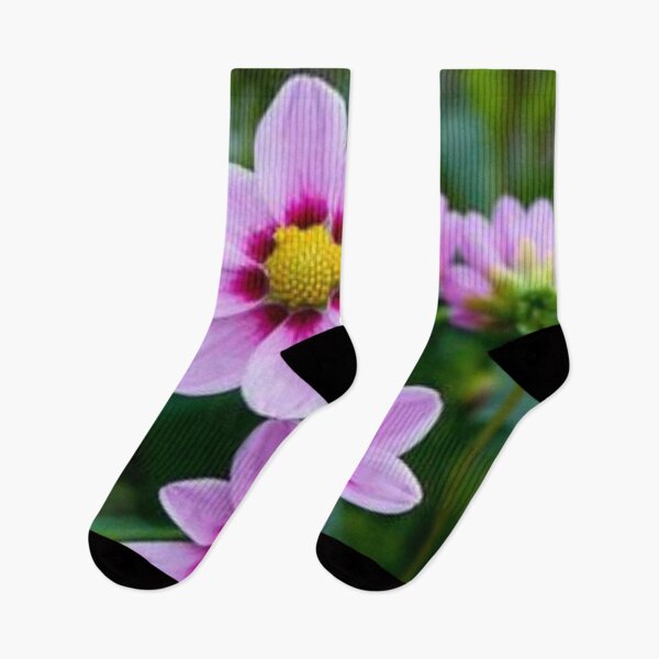 Artikelvorschau, Schöne Dahlienblume. entworfen und verkauft von Lan thi Nguyen.