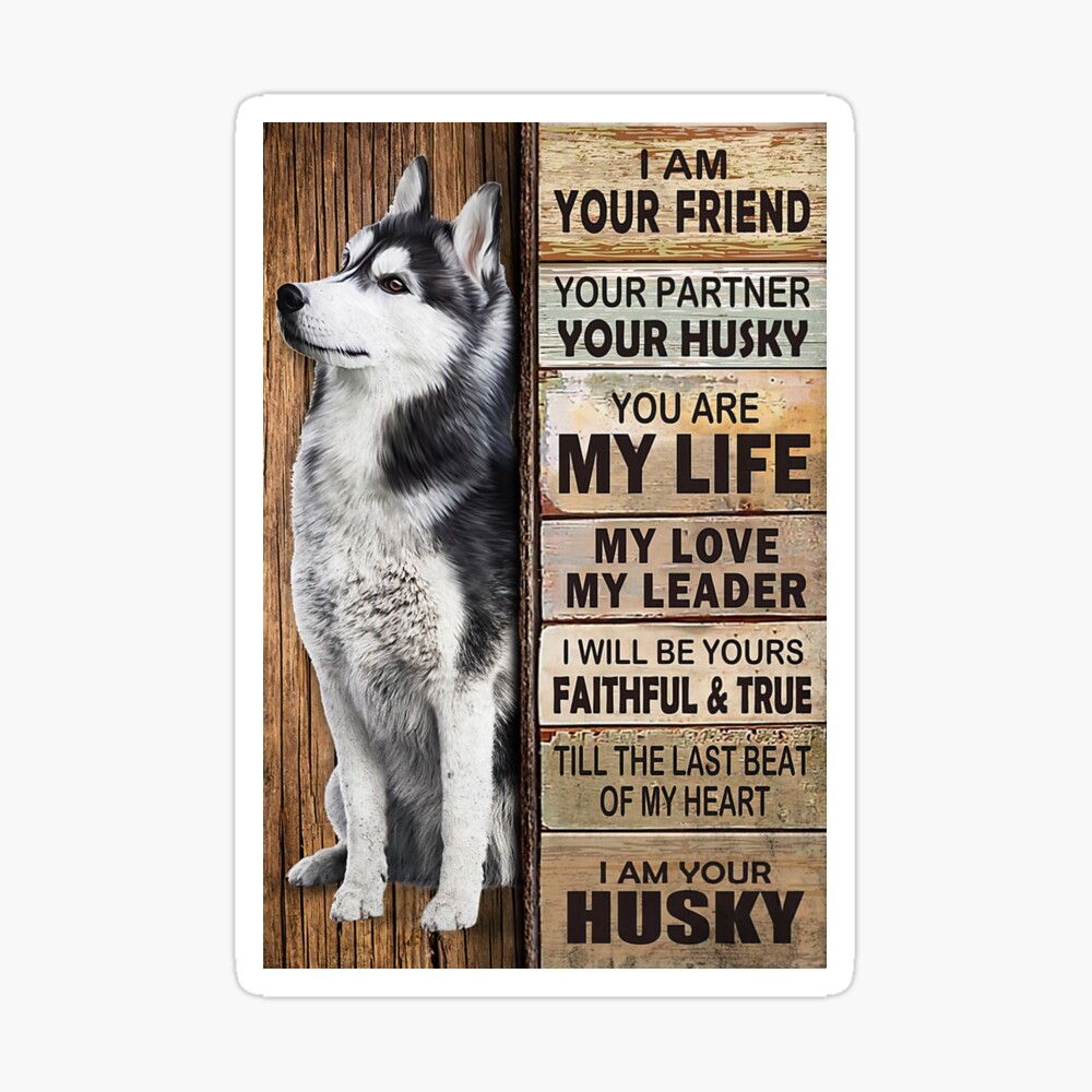 husky presents