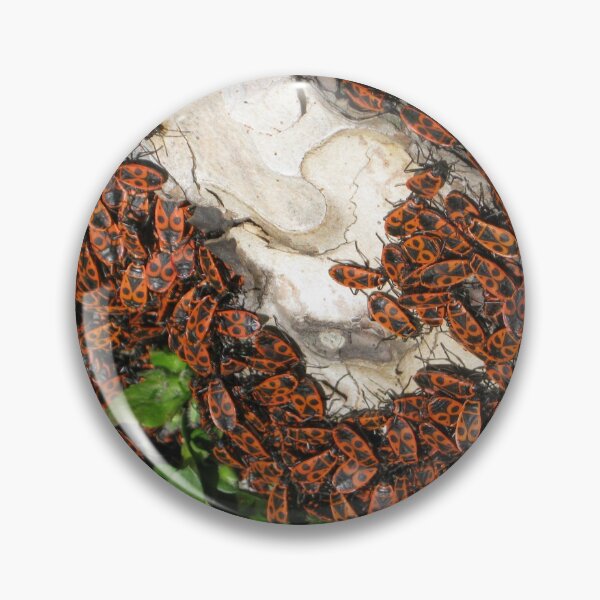 Item preview, A bugs' feast designed and sold by Alexandra Lavizzari.