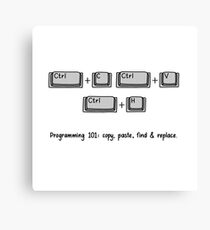 Programming 101: Copy, Paste, Find & Replace Canvas Print