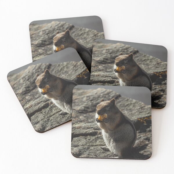 Item preview, Chipmunk Eating Close Up designed and sold by Tortelikeatiger.