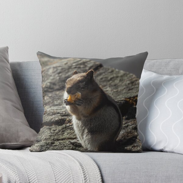 Item preview, Chipmunk Eating Close Up designed and sold by Tortelikeatiger.