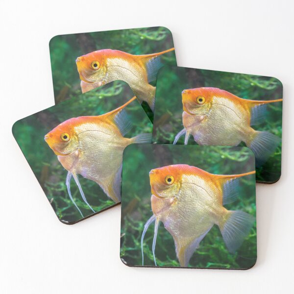 Item preview, Pterophyllum Scalare yellow angel tropical fish underwater with plants designed and sold by Grégory DUBUS.