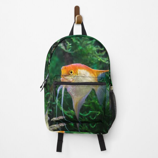 Item preview, Pterophyllum Scalare yellow angel tropical fish underwater with plants designed and sold by Grégory DUBUS.