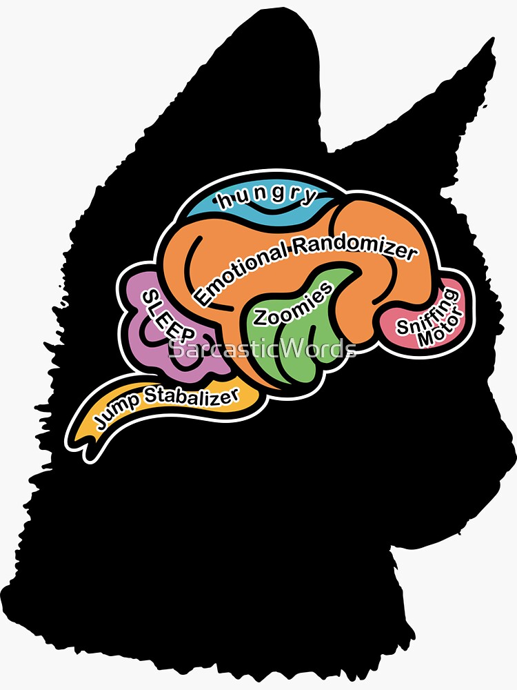 the-brain-of-a-cat-3-sticker-for-sale-by-sarcasticwords-redbubble