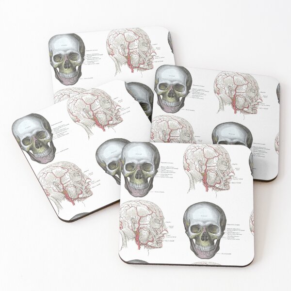 Item preview, Gray's Anatomy Vintage Skull Medical Illustration designed and sold by jessephotoart.