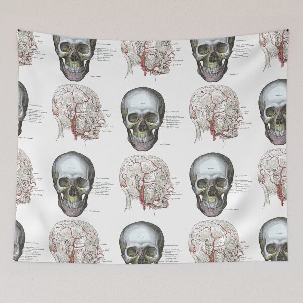 Item preview, Gray's Anatomy Vintage Skull Medical Illustration designed and sold by jessephotoart.