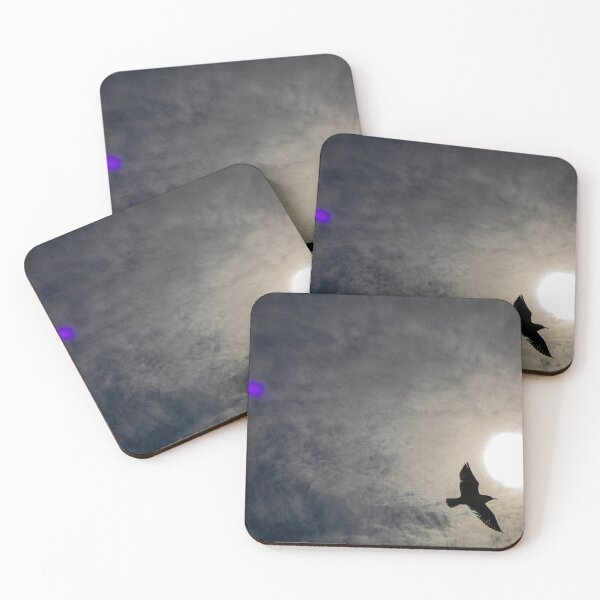 Item preview, Seagull designed and sold by Srdjan Petrovic.