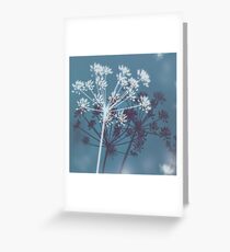 Twilight Stars. Botanical Macro Abstract Art. Dark Floral Greeting Card