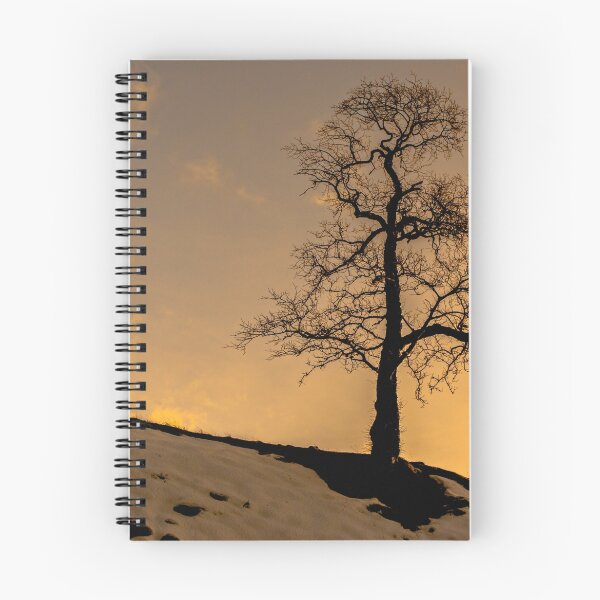 Item preview, Alston - Lone Tree Sunset designed and sold by Reg-K-Atkinson.