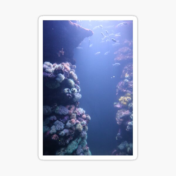 "Underwater" Sticker for Sale by moonminun Redbubble