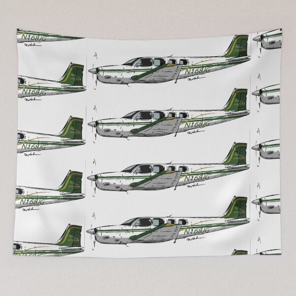 Item preview, Beechraft Bonanza N168JG designed and sold by Michael Garber.