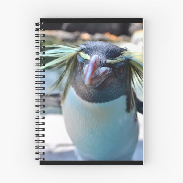 Item preview, Rockhopper Penguin Close up  designed and sold by LorLor88.